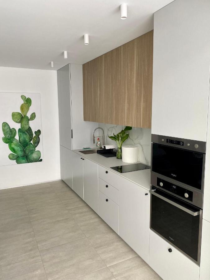 Caсtus Apartments 1 Ivano-Frankivsk Eksteriør billede